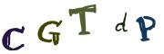 图形验证