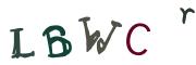 图形验证