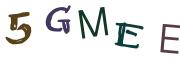 图形验证